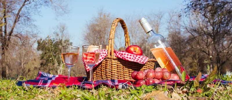 Coș de picnic pregătit pentru un grup mare